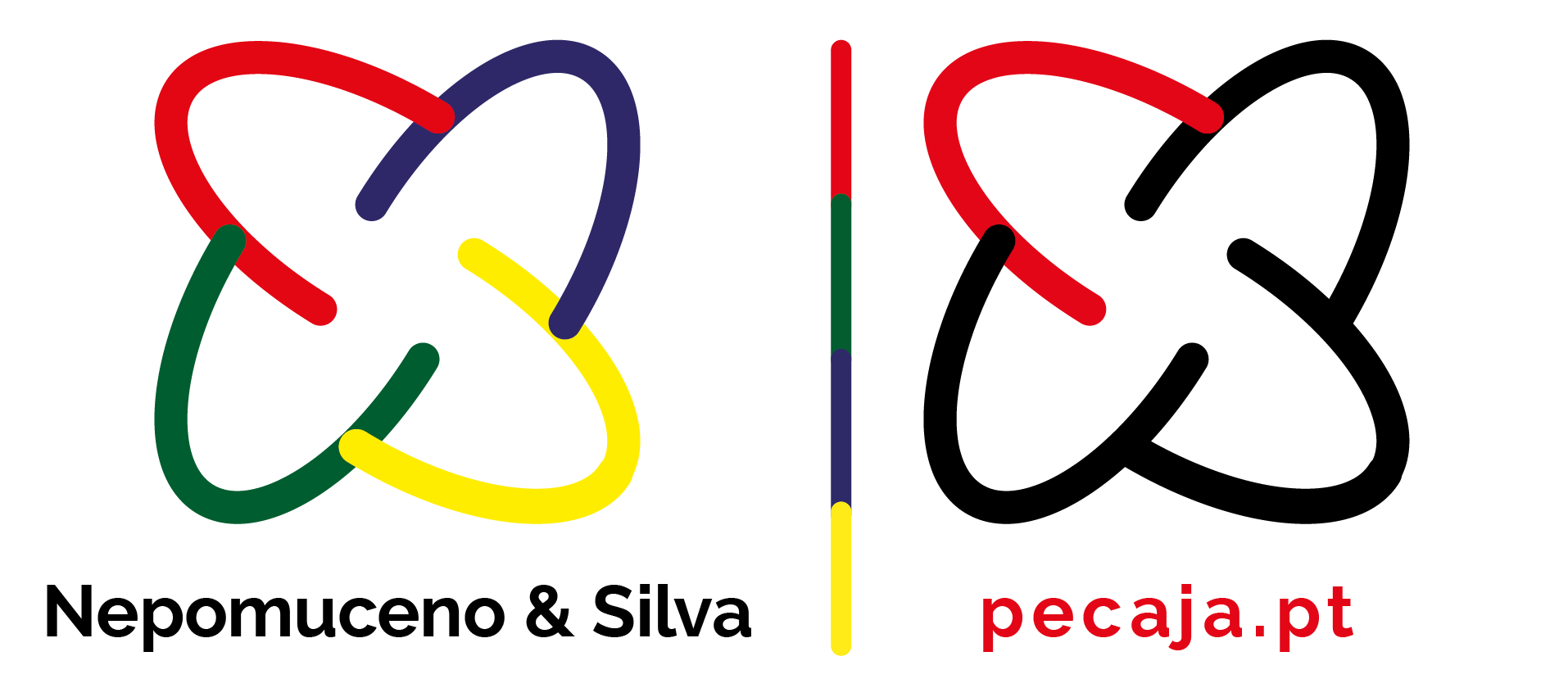 Nepomuceno & Silva Lda